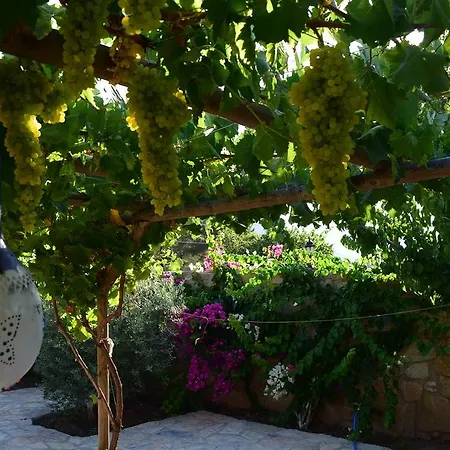 Casa Feronia Stone House * Hisaronu